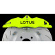 Lotus Lotus