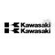 Kawasaki Kawasaki