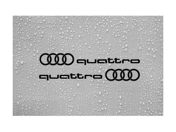 Pair of Handed Audi Ring Quattro Side Skirt Decals - Vinyl Stickers for A3 A4 A5 A6 S-Line RS Pair of Handed Audi Ring Quattro Side Skirt Decals - Vinyl Stickers for A3 A4 A5 A6 S-Line RS
